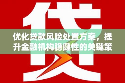 太和优化贷款风险处置方案，提升金融机构稳健性的关键策略