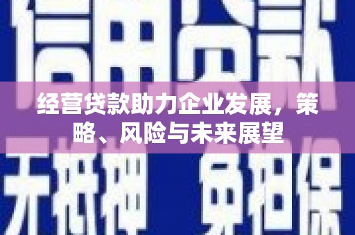 太和经营贷款助力企业发展，策略、风险与未来展望