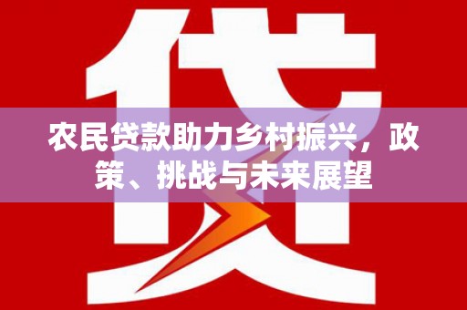 太和农民贷款助力乡村振兴，政策、挑战与未来展望
