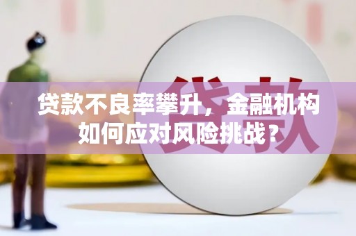太和贷款不良率攀升，金融机构如何应对风险挑战？