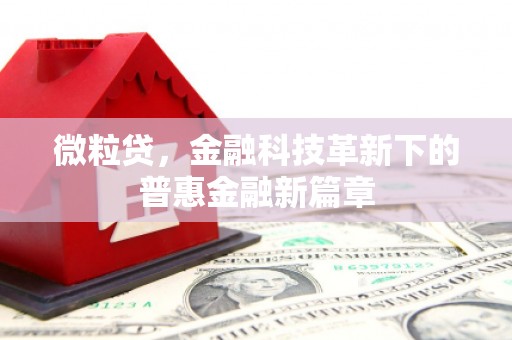 太和微粒贷，金融科技革新下的普惠金融新篇章