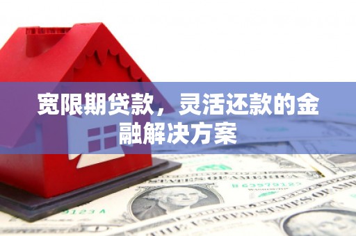 太和宽限期贷款，灵活还款的金融解决方案