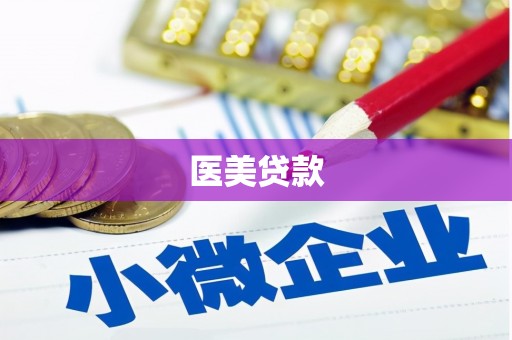 太和医美贷款