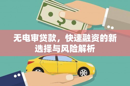 太和无电审贷款，快速融资的新选择与风险解析