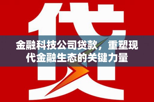 太和金融科技公司贷款，重塑现代金融生态的关键力量