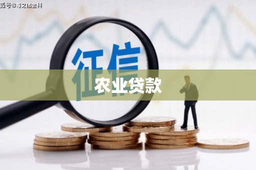 太和农业贷款