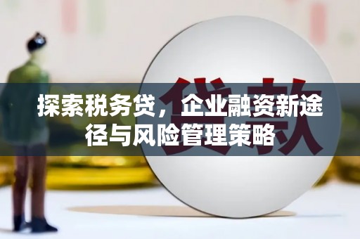 太和探索税务贷，企业融资新途径与风险管理策略