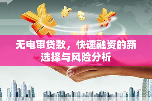 太和无电审贷款，快速融资的新选择与风险分析