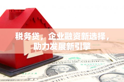 太和税务贷，企业融资新选择，助力发展新引擎