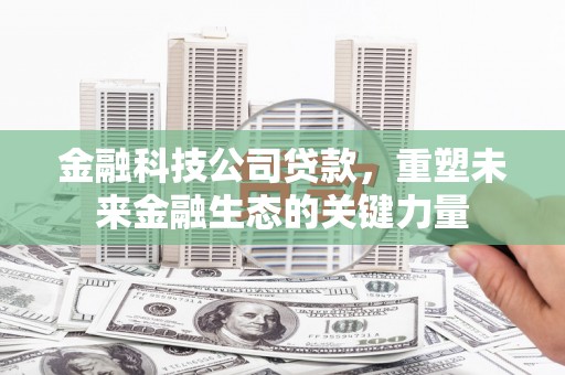 太和金融科技公司贷款，重塑未来金融生态的关键力量