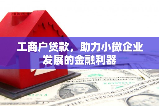 太和工商户贷款，助力小微企业发展的金融利器