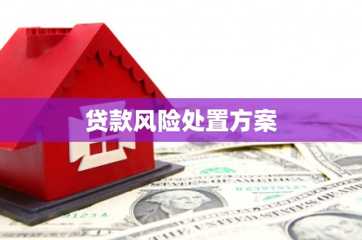 太和贷款风险处置方案