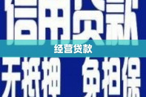 太和经营贷款
