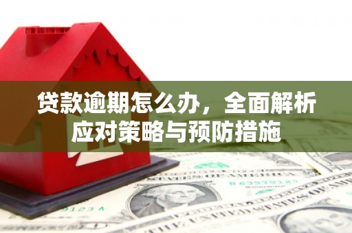 太和贷款逾期怎么办，全面解析应对策略与预防措施