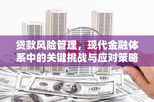 太和贷款风险管理，现代金融体系中的关键挑战与应对策略