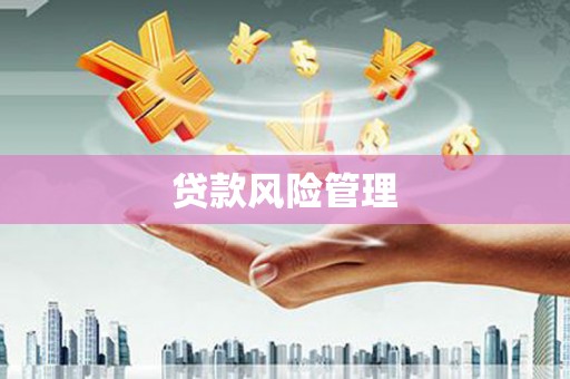 太和贷款风险管理