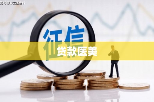 太和贷款医美