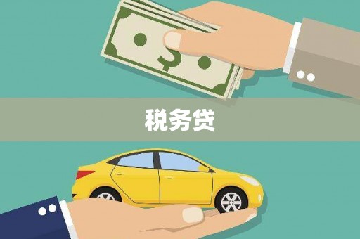 太和税务贷