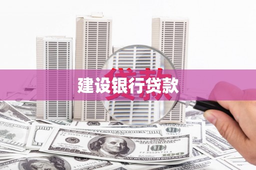 太和建设银行贷款