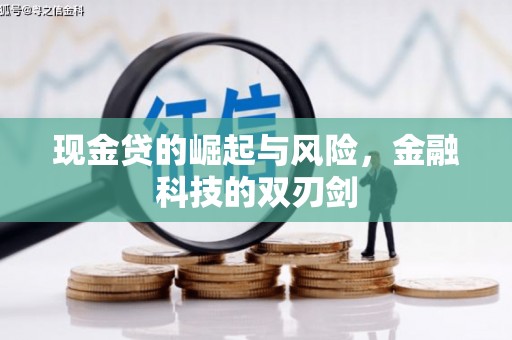 太和现金贷的崛起与风险，金融科技的双刃剑