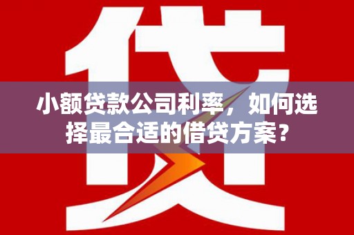 太和小额贷款公司利率，如何选择最合适的借贷方案？