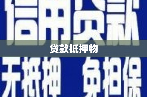 太和贷款抵押物