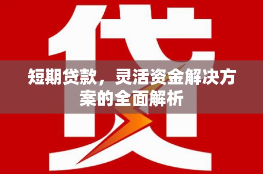 太和短期贷款，灵活资金解决方案的全面解析