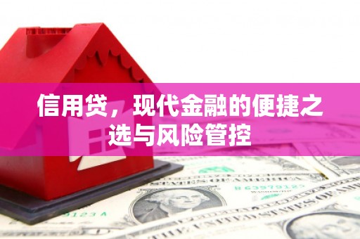 太和信用贷，现代金融的便捷之选与风险管控