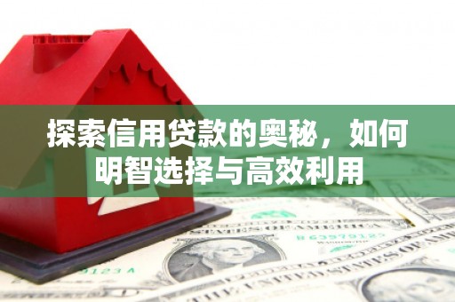 太和探索信用贷款的奥秘，如何明智选择与高效利用