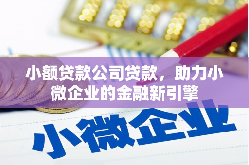 太和小额贷款公司贷款，助力小微企业的金融新引擎