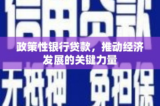 太和政策性银行贷款，推动经济发展的关键力量