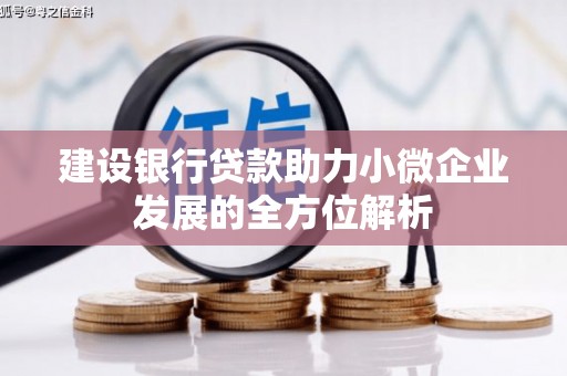 太和建设银行贷款助力小微企业发展的全方位解析