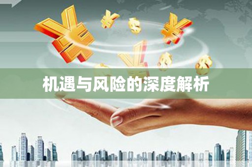 太和机遇与风险的深度解析