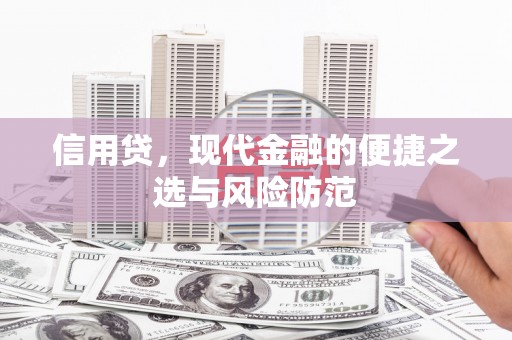 太和信用贷，现代金融的便捷之选与风险防范