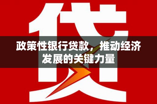 太和政策性银行贷款，推动经济发展的关键力量