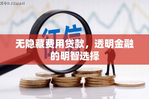 太和无隐藏费用贷款，透明金融的明智选择