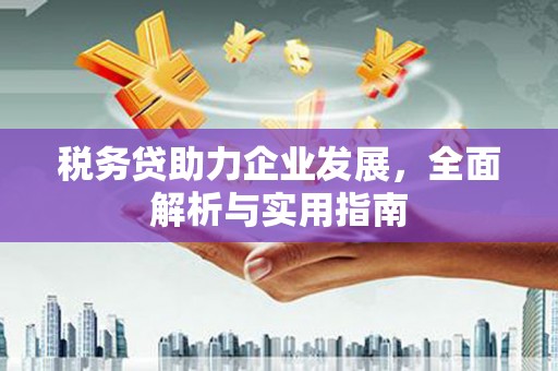 太和税务贷助力企业发展，全面解析与实用指南