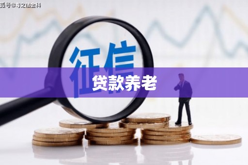 太和贷款养老
