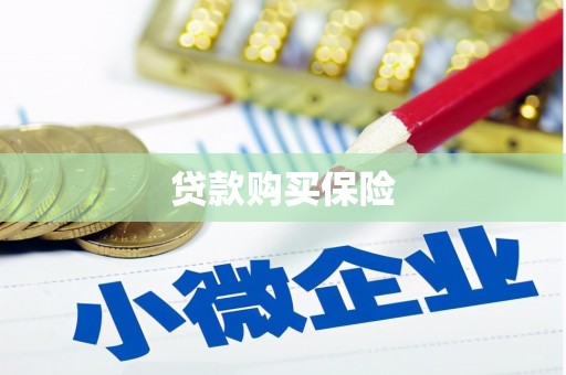 太和贷款购买保险