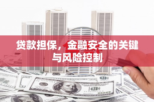 太和贷款担保，金融安全的关键与风险控制