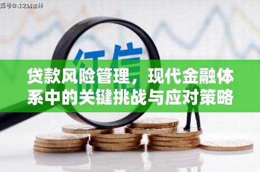 太和贷款风险管理，现代金融体系中的关键挑战与应对策略