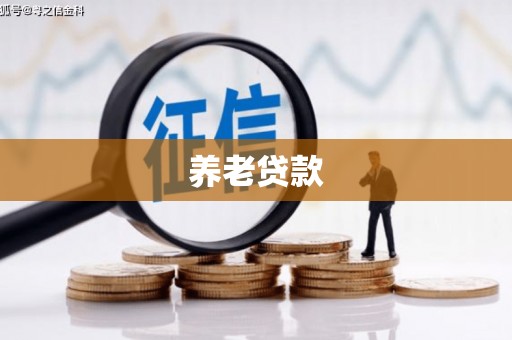 太和养老贷款