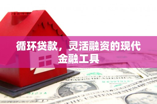 太和循环贷款，灵活融资的现代金融工具