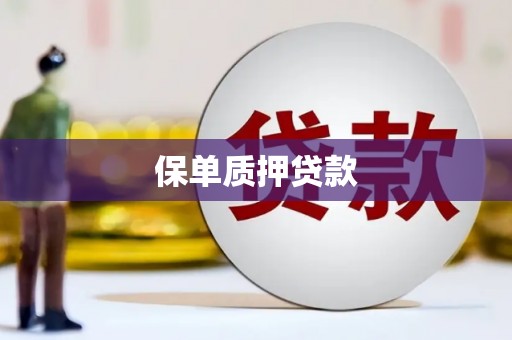 太和保单质押贷款