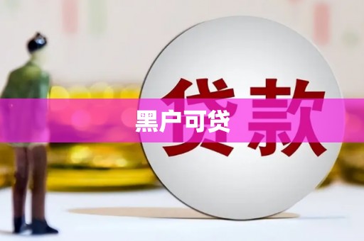 太和黑户可贷