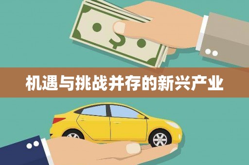 太和机遇与挑战并存的新兴产业