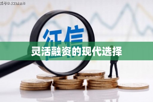 太和灵活融资的现代选择
