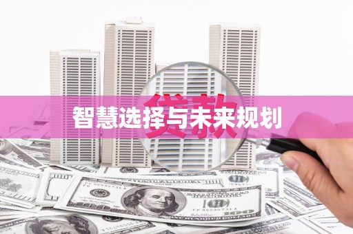 太和智慧选择与未来规划