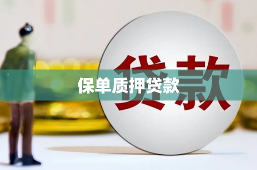 太和保单质押贷款