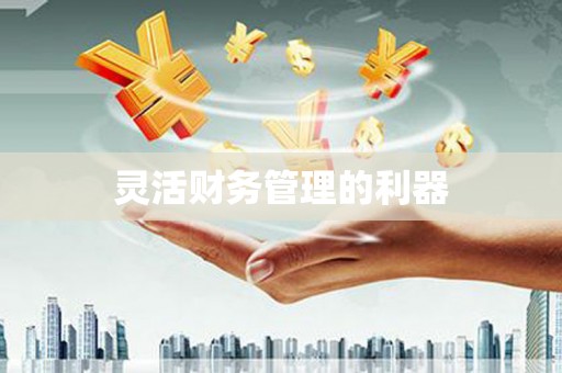 太和灵活财务管理的利器